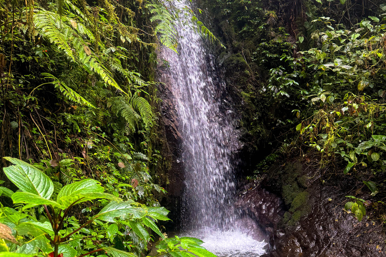 Quito: 2-Day Cloud Forest Experience