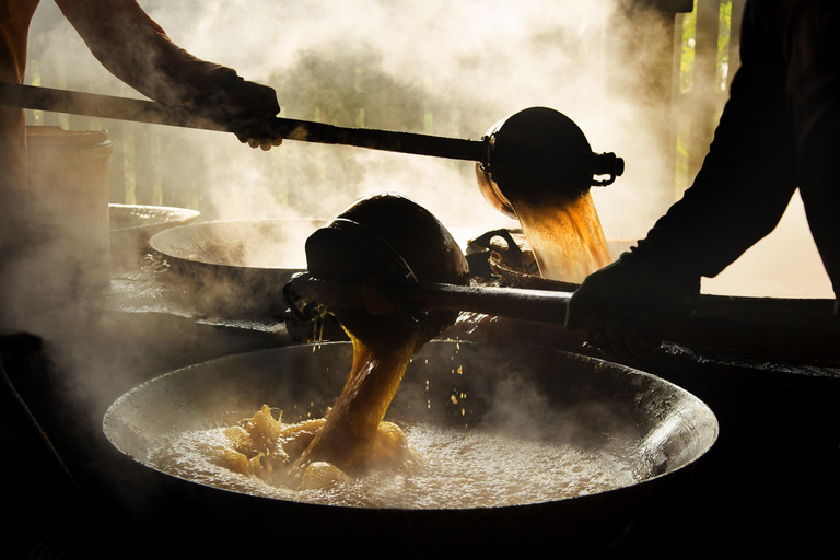 BKK: Maeklong Railway, Sugar Palm Factory & Floating Market