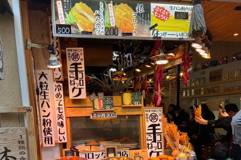 E-Bike Tour in Kyoto with Asuka, Japanese graduate student