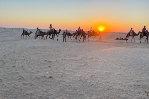 Desde Djerba : excursión de un día a Ksar Ghilane