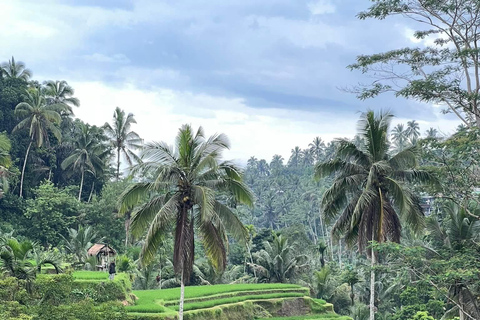Ubud: Private Half-Day Tour Rice Terrace, Temple & Waterfall Private Half-Day Tour (With Entrance Tickets)