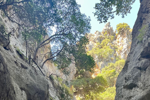 Creta: Tour guiado de senderismo por el Cañón de Kritsa