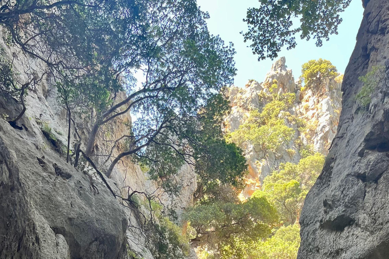 Creta: Tour guiado de senderismo por el Cañón de Kritsa