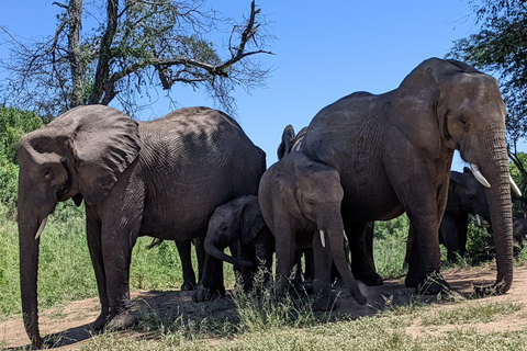 Safari nel Parco Kruger e itinerario panoramico di 3 giorni