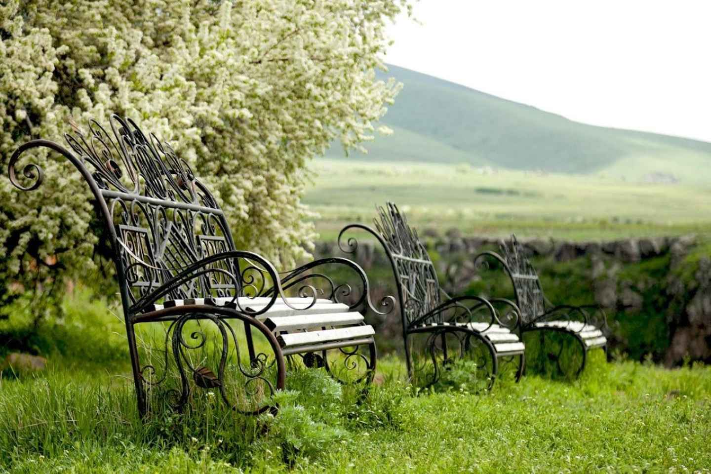 From Yerevan: Saghmosavank, Wine yard, Echmiadzin, Zvartnots