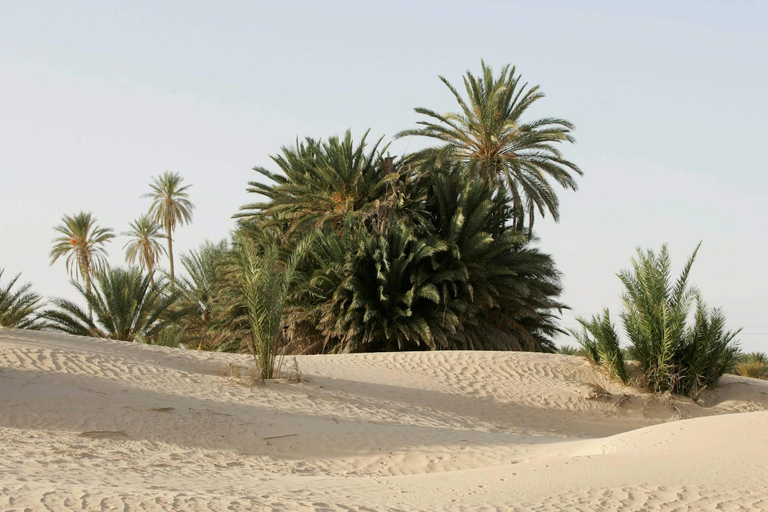 Excursión nocturna a los pueblos y oasis del Sáhara tunecino