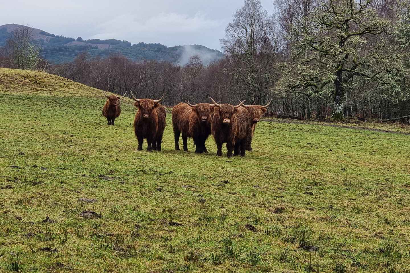 에든버러 출발 로크네스 당일 투어