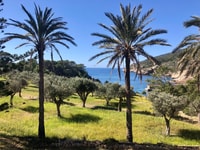 Discover the Island Dragonera by kayak and on foot - Housity