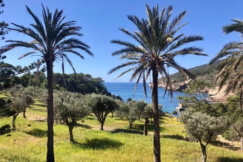 Discover the Island Dragonera by kayak and on foot