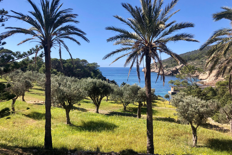 Discover the Island Dragonera by kayak and on foot