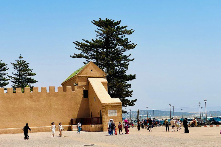 From Marrakech: Essaouira Day Trip with Optional Activities