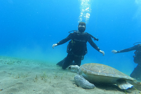 Tenerife sur: Buceo para principiantes en Adeje