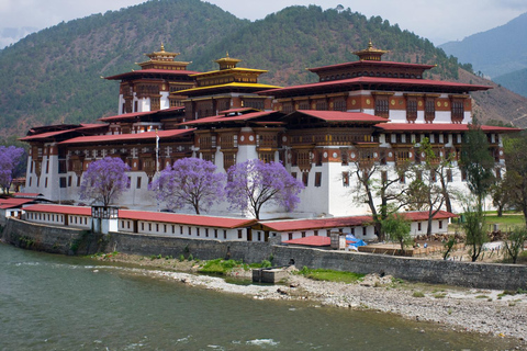 ''Bhutan: 6-Day Hidden Himalayas Tour with Meals''