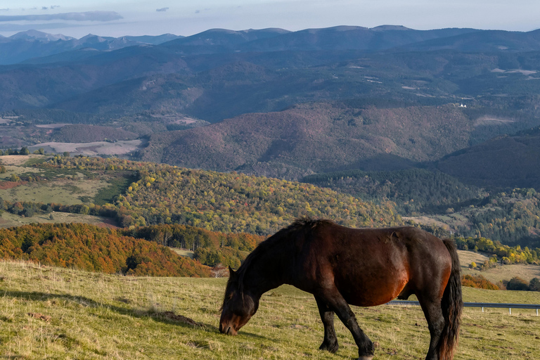 Hammamet: Nature Horse Riding Experience in the Hills