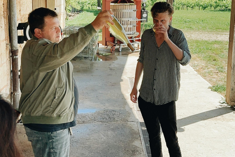 Bordeaux: Winery Tour and Garden Picnic