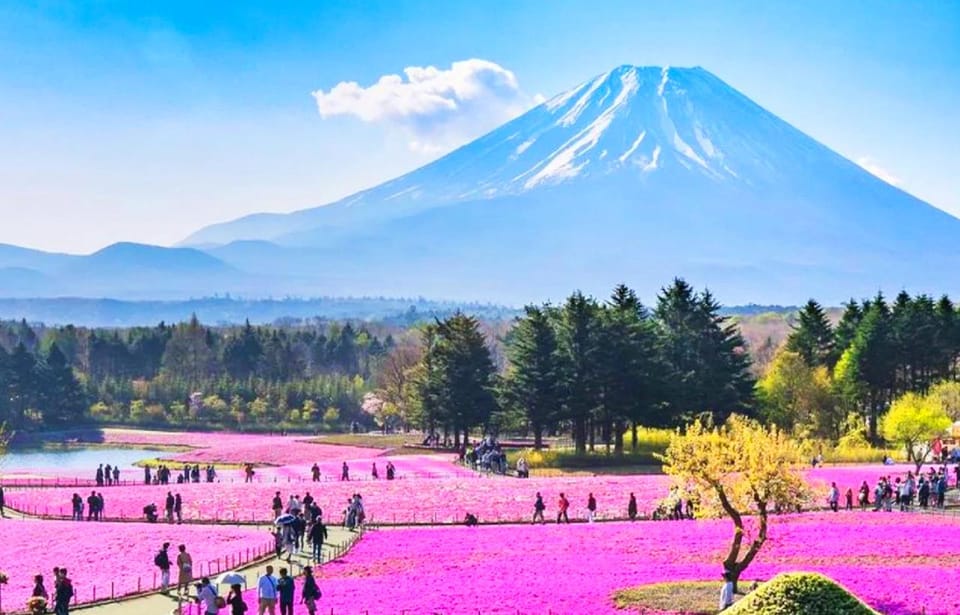 Tokio Dagtrip Naar Het Mt Fuji Gebied Oshino Hakkai Kawaguchi Meer