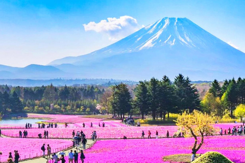 Mt.Fuji Kawaguchiko, Oshino Hakkai,Matcha-Making 1-Day Trip Pick-up 8:00am Marunouchi North Exit