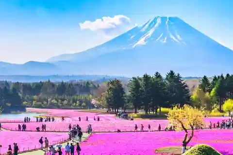 Monte Fuji: Lago Kawaguchi e teleférico, excursão de 1 dia a Oshino Hakkai