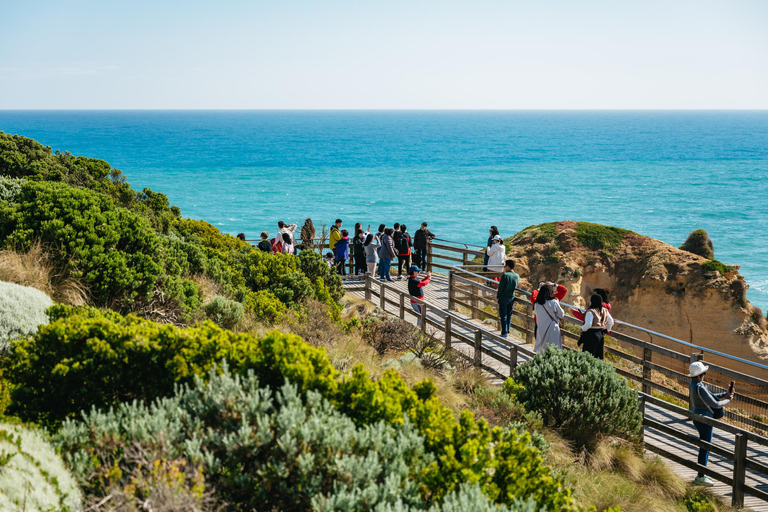 Från Melbourne: Heldagsutflykt till Great Ocean RoadFrån Melbourne: Heldagsutflykt på &quot;Great Ocean Road&quot;