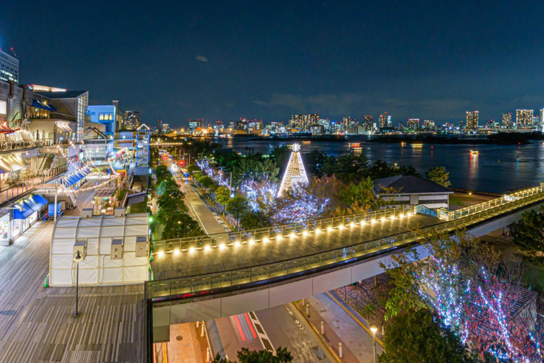 Tokyo: Private Luxury Day Tour with Hotel Pickup and DropOff