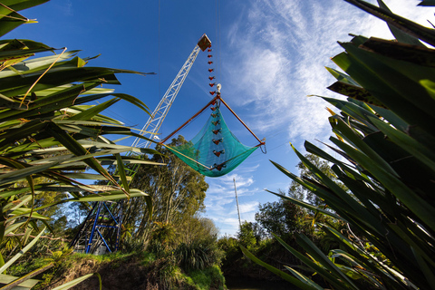 Rotorua: Velocity Valley - NOVO Vertigo 43m de queda