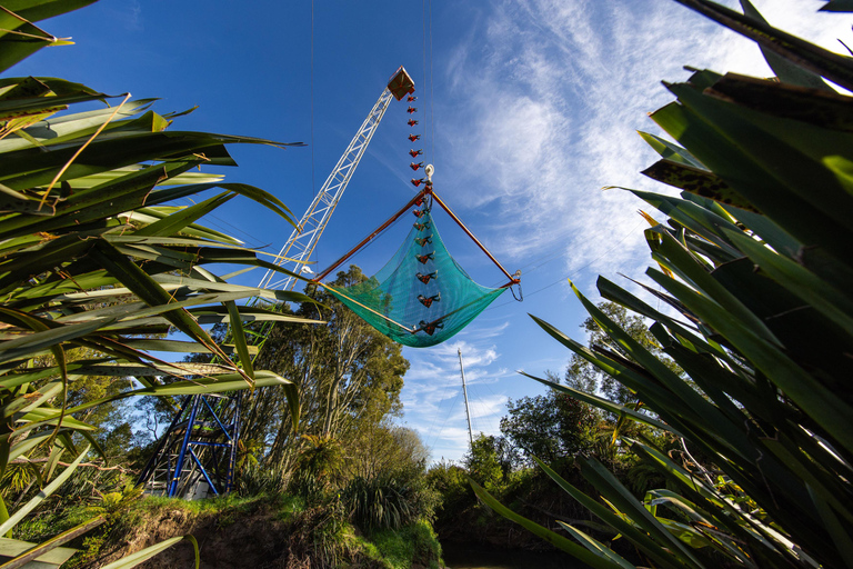 Rotorua: Velocity Valley - NUOVO Vertigo 43m drop