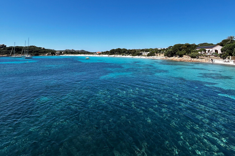 Da Santa Teresa Gallura: tour in motonave a La Maddalena From Santa Teresa Gallura