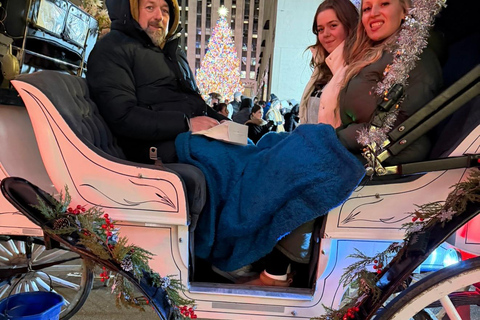 NYC: Central Park Christmas Lights Horse-Drawn Carriage Ride