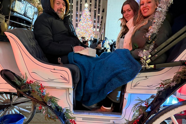 NYC: Central Park Christmas Lights Horse-Drawn Carriage Ride
