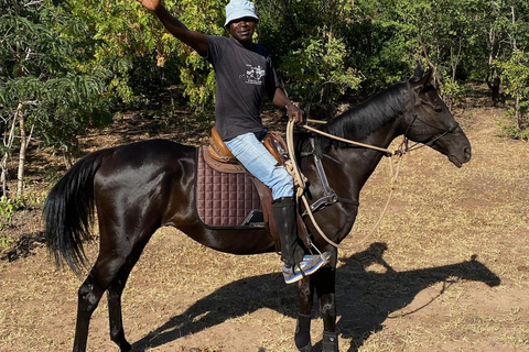 Victoriafälle: Afrikanische Dorfgemeinschaftstour zu PferdVictoriafälle: Tour durch eine afrikanische Dorfgemeinschaft auf dem Rücken eines Pferdes