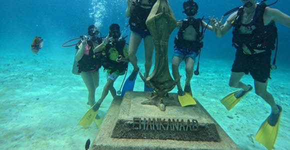 Cozumel: Chankanaab Park All-Inclusive Experience with Pool
