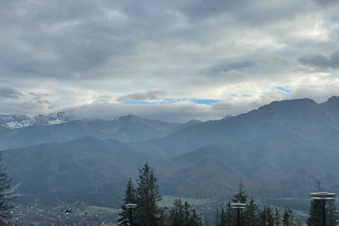 Krakow: Zakopane Buggy, Quad or Snowmobile Tour & Treetop Tour + Buggy for 2 people