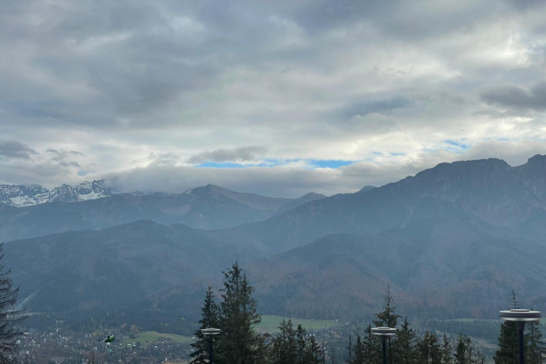 Krakow: Zakopane Buggy, Quad or Snowmobile Tour & Treetop Tour + Buggy for 2 people