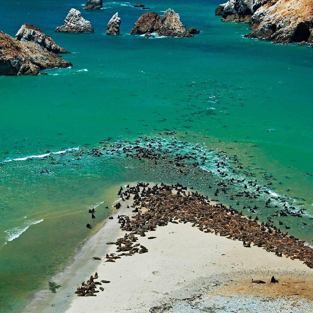 Colagem de mídia