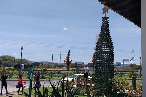 Mexico : visite privée de Querétaro avec dégustation de fromages et de vinsMexico : visite privée avec dégustation de fromages et de vins à Querétaro