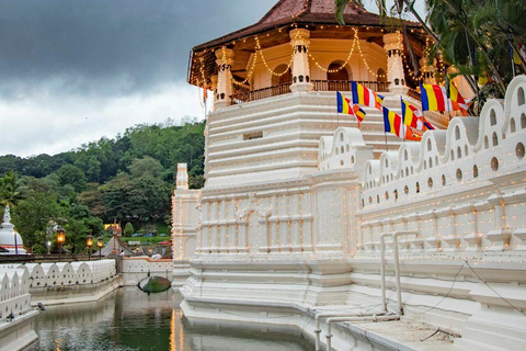 Kandy Temple of the Tooth & Tea Factory Day Tour