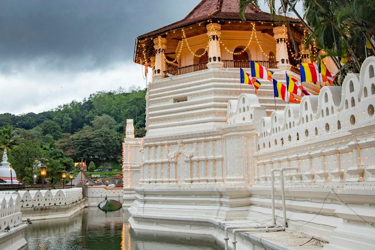 Kandy Temple of the Tooth & Tea Factory Day Tour