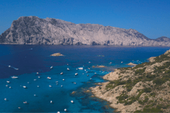 Von Olbia: Tour nach Tavolara, Molara und Aperitif