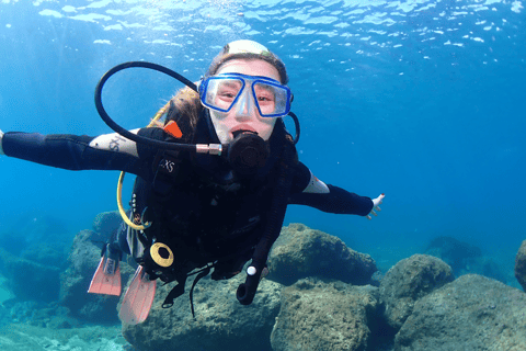 Paphos: excursion d'une demi-journée de plongée sous-marine en MéditerranéePaphos: excursion d'une demi-journée à la découverte de la plongée sous-marine en Méditerranée