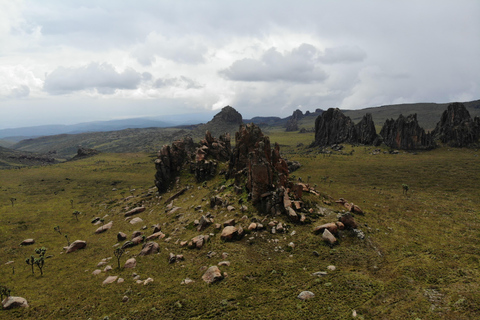 Aberdare National Park: Mount Satima Overnight Hike