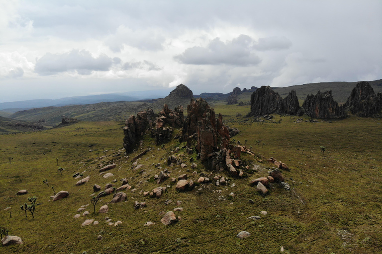 Aberdare National Park: Mount Satima Overnight Hike