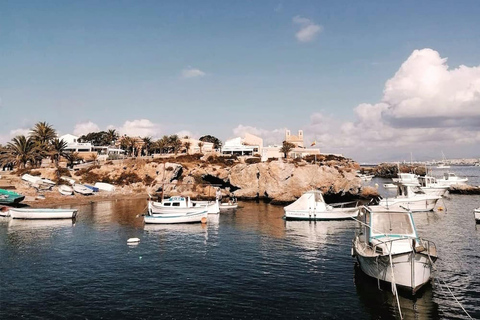 From Alicante and Torrevieja: Excursion to Tabarca, Santa Pola and Laguna Rosa Excursion in Spanish from Alicante