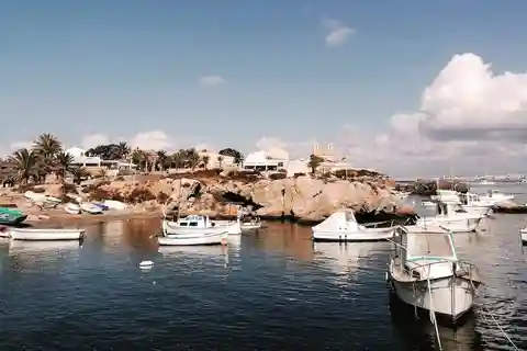 From Alicante and Torrevieja: Excursion to Tabarca, Santa Pola and Laguna Rosa
