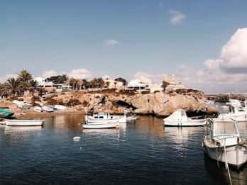 Da Alicante e Torrevieja: Escursione a Tabarca, Santa Pola e Laguna Rosa
