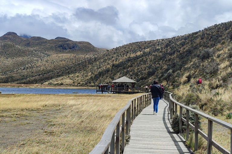 Vulcano Cotopaxi: visita da Quito, alpaca, laguna e vulcani