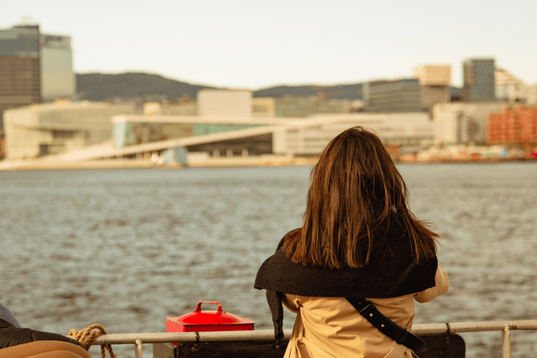 Oslo : Croisière touristique dans le fjord d'Oslo en bateau électrique