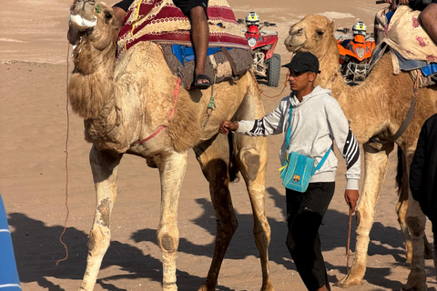 Agadir: Quad Bike and Camel Ride Desert & Beach Tour