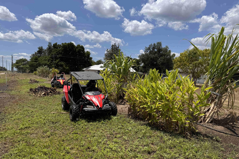 Bamboo Dune Buggy Tour