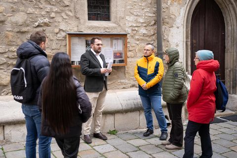 Vienna: Tour guidato del patrimonio rumeno e dei mercatini di Natale