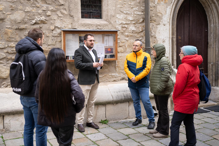 Vienna: Tour guidato del patrimonio rumeno e dei mercatini di Natale